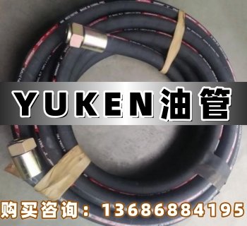 <a  target='_blank'><u>YUKEN</u></a>油研油管